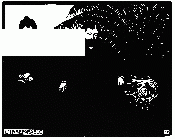 L'Irréparable (intimité) - sérigraphie - 2007