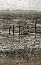 La Plage - Technique mixte sur bâche - 300  x 190 cm 