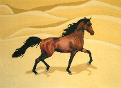 Cheval - acrylique sur toile - 71 x 98 cm